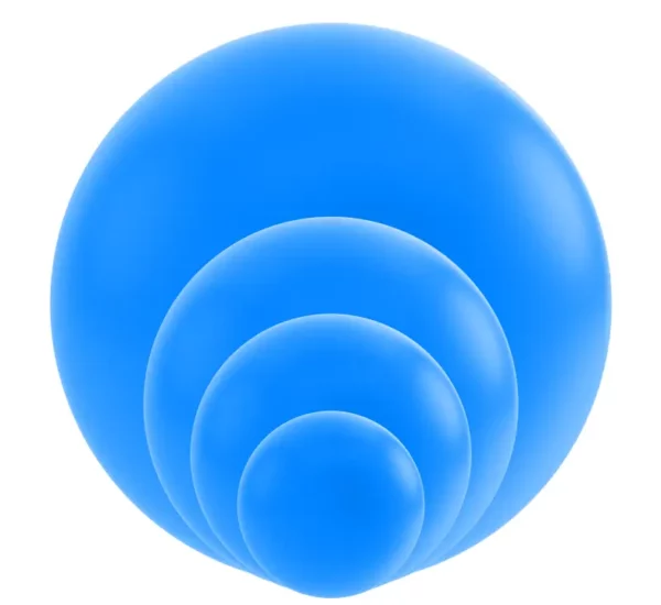 Project Portfolio Management